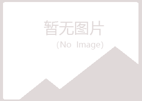 黑龙江夏日采矿有限公司